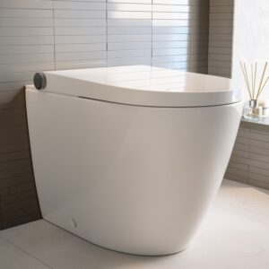 Back to Wall Smart Bidet Japanese Toilet - Purificare